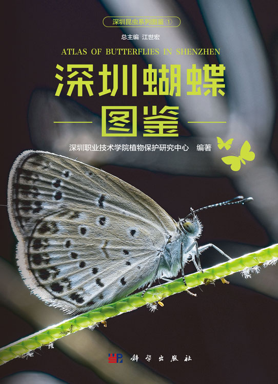 深圳蝴蝶图鉴