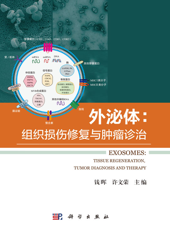 外泌体：组织损伤修复与肿瘤诊疗