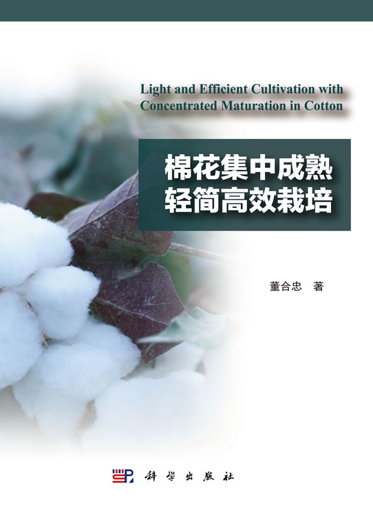 棉花集中成熟轻简高效栽培