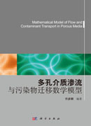多孔介质渗流与污染物迁移数学模型