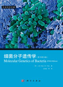 细菌分子遗传学（原书第五版）