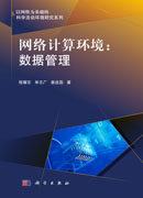 网络计算环境：数据管理