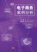 电子商务案例分析