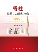 脊柱：结构、功能与疾病