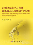 正则化深度学习及其在机器人环境感知中的应用
