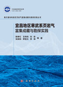 宜昌地区寒武系页岩气战略选区与勘探突破