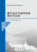 曝气池中气液两相流理论与实践