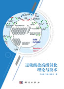 过硫酸盐高级氧化理论与技术