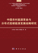 中国农村能源革命与分布式低碳能源发展战略研究