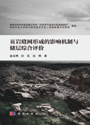页岩缝网形成的影响机制与储层综合评价
