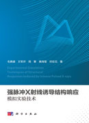 强脉冲X射线诱导结构响应模拟实验技术