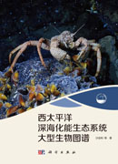 西太平洋深海化能生态系统大型生物图谱