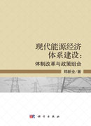 现代能源经济体系建设：体制改革与政策组合