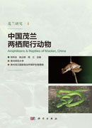 中国茂兰两栖爬行动物
