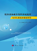 低渗透油藏非线性渗流机理与CO2微泡沫驱油研究
