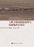 上膜下秸隔抑盐机理与盐碱地改良效应