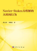 Navier-Stokes方程解的大时间行为