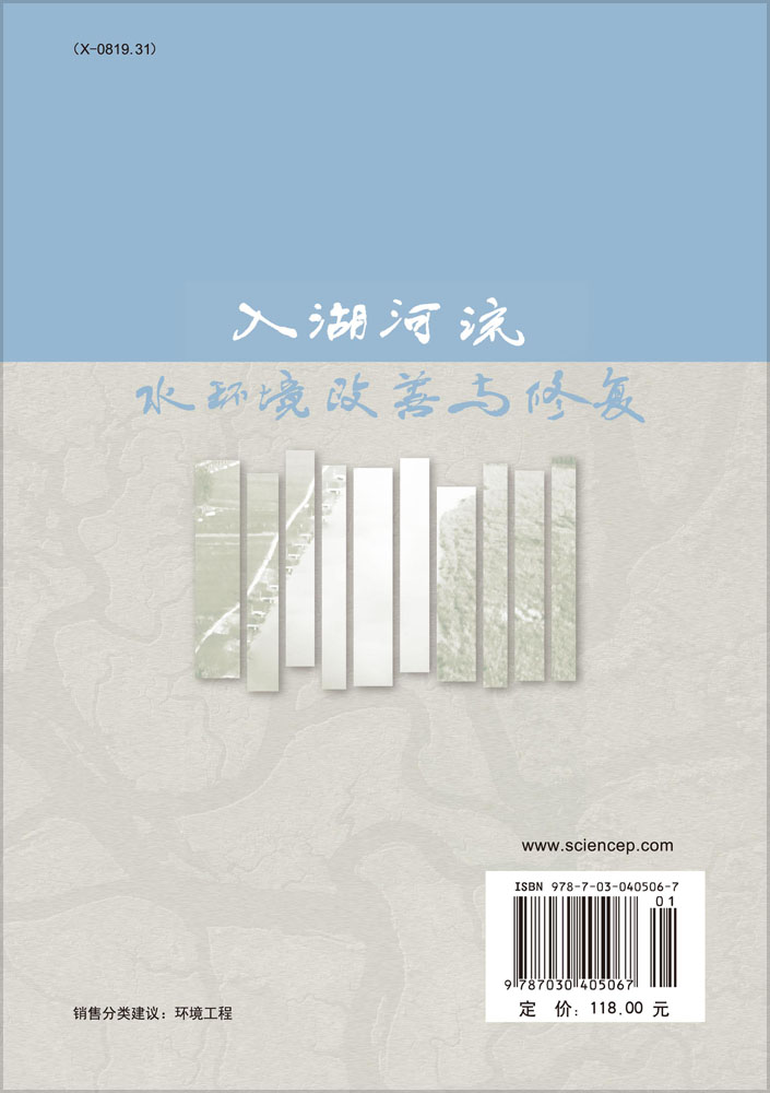 入湖河流水环境改善与修复