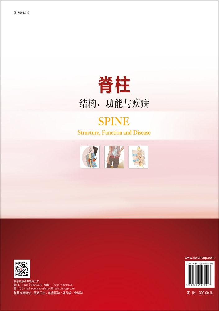 脊柱：结构、功能与疾病