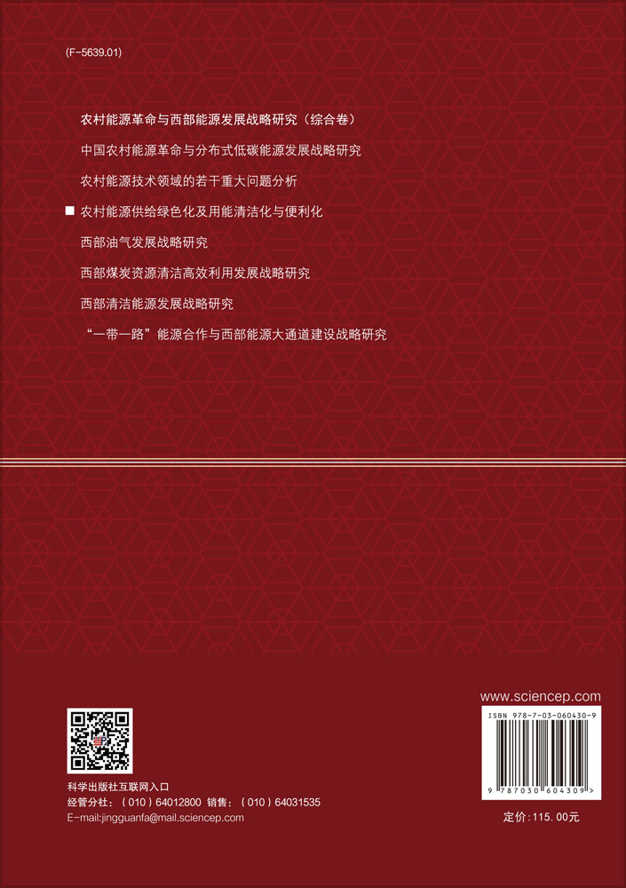 农村能源供给绿色化及用能清洁化与便利化