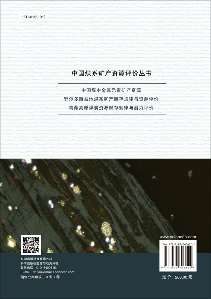 中国煤中金属元素矿产资源