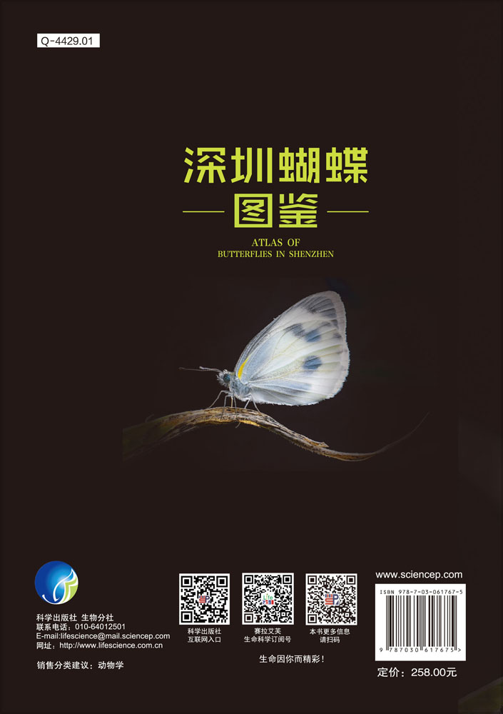 深圳蝴蝶图鉴