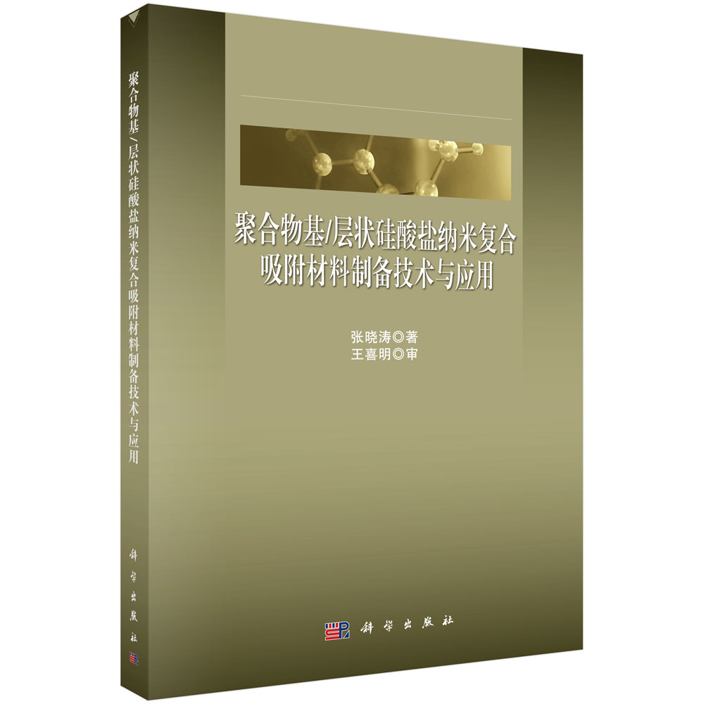 聚合物基/层状硅酸盐纳米复合吸附材料制备技术与应用