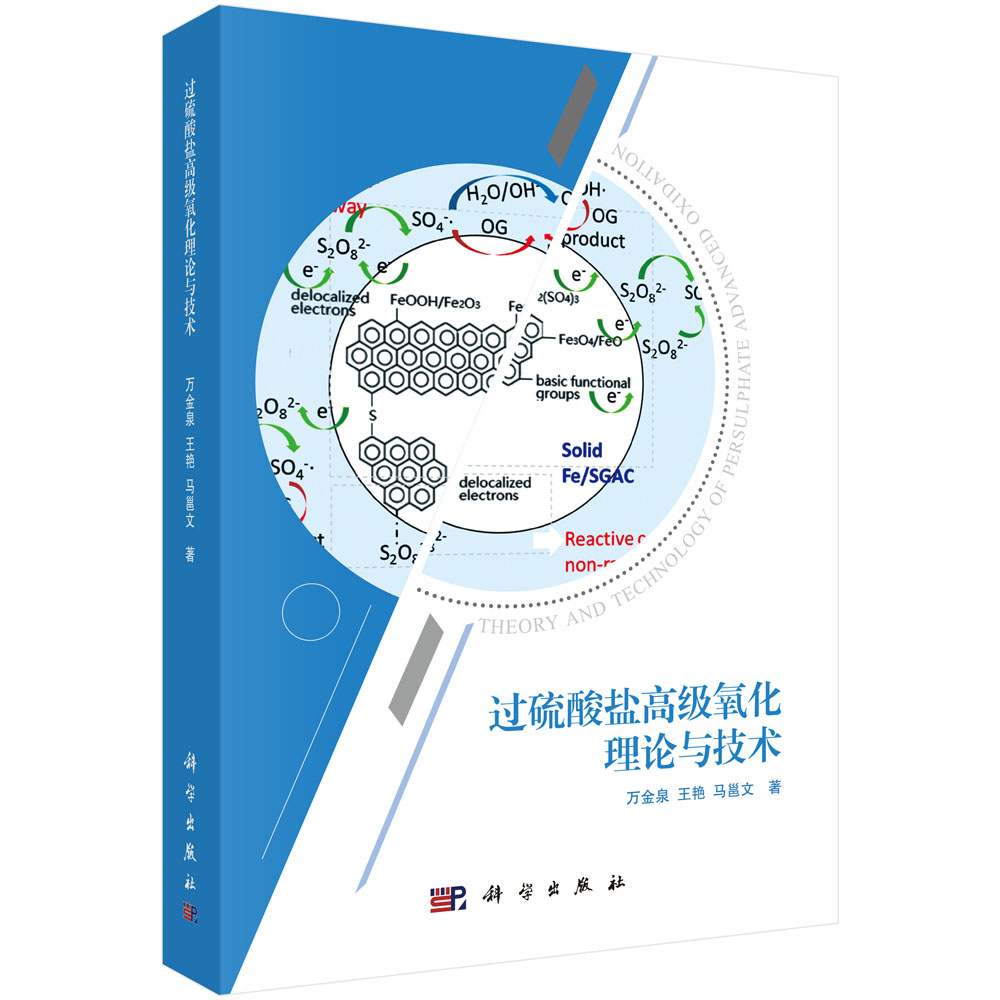 过硫酸盐高级氧化理论与技术