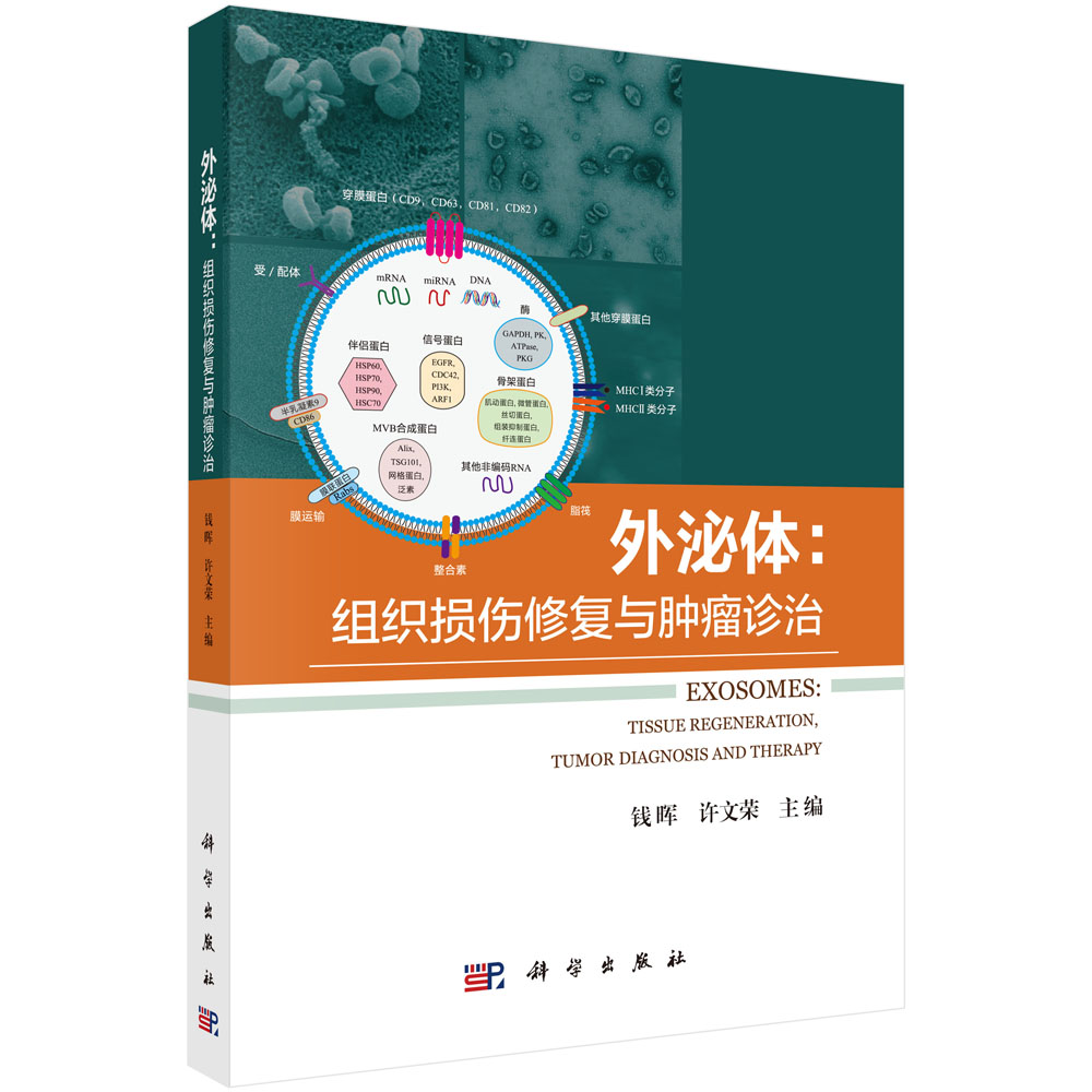 外泌体：组织损伤修复与肿瘤诊疗