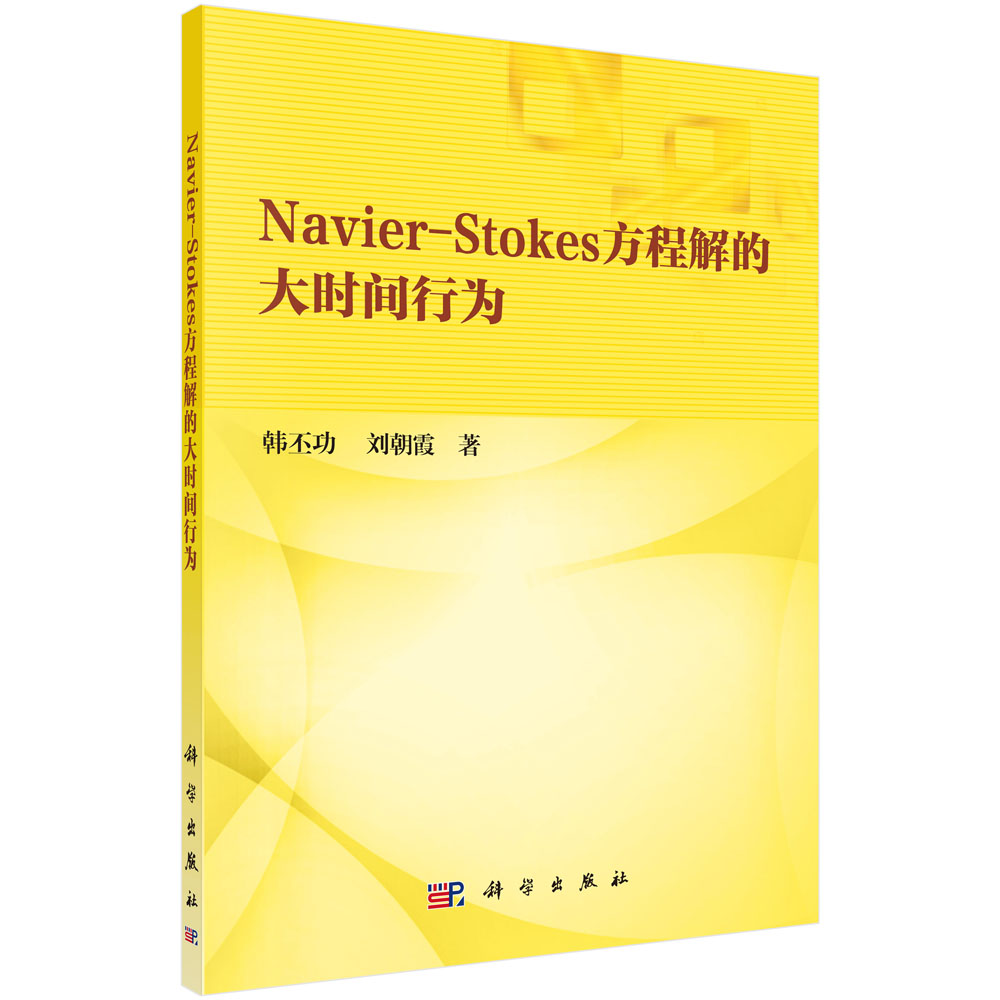 Navier-Stokes方程解的大时间行为