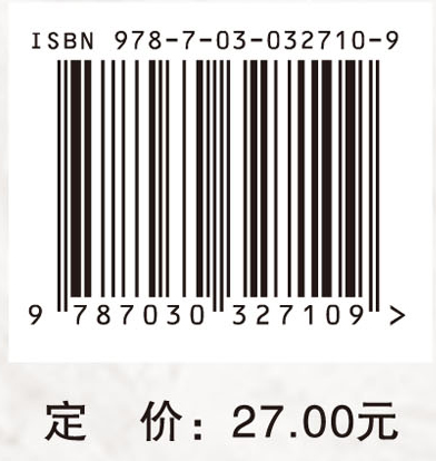 中学数学课堂教学技能实训教程