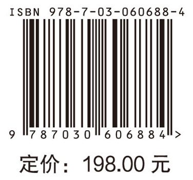 高速视频测量理论方法与工程应用