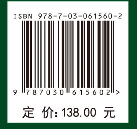 可再生能源发电集群技术与实践