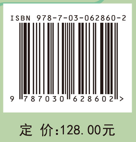 替代计量学：理论、方法与应用