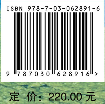 中国绿潮