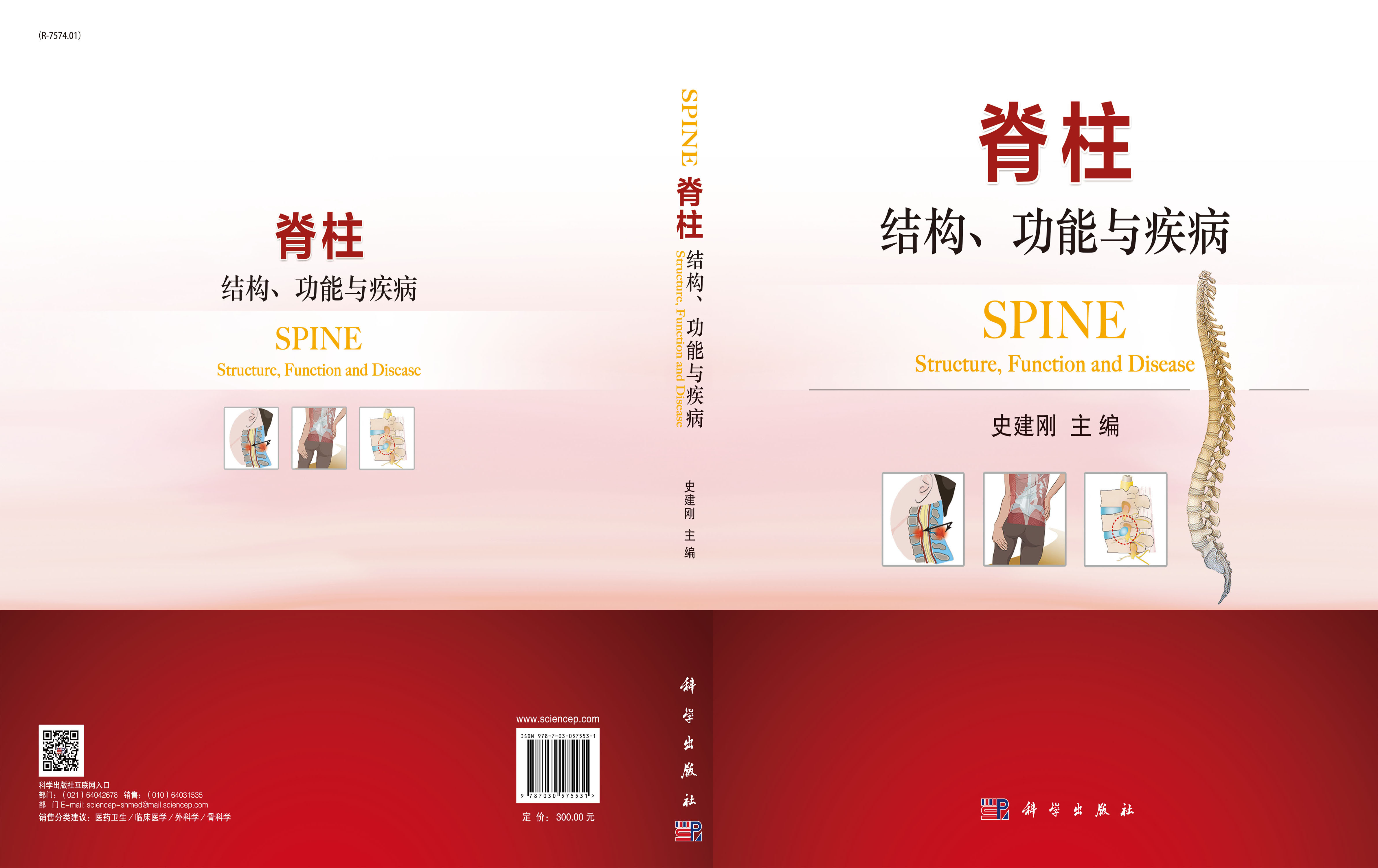脊柱：结构、功能与疾病