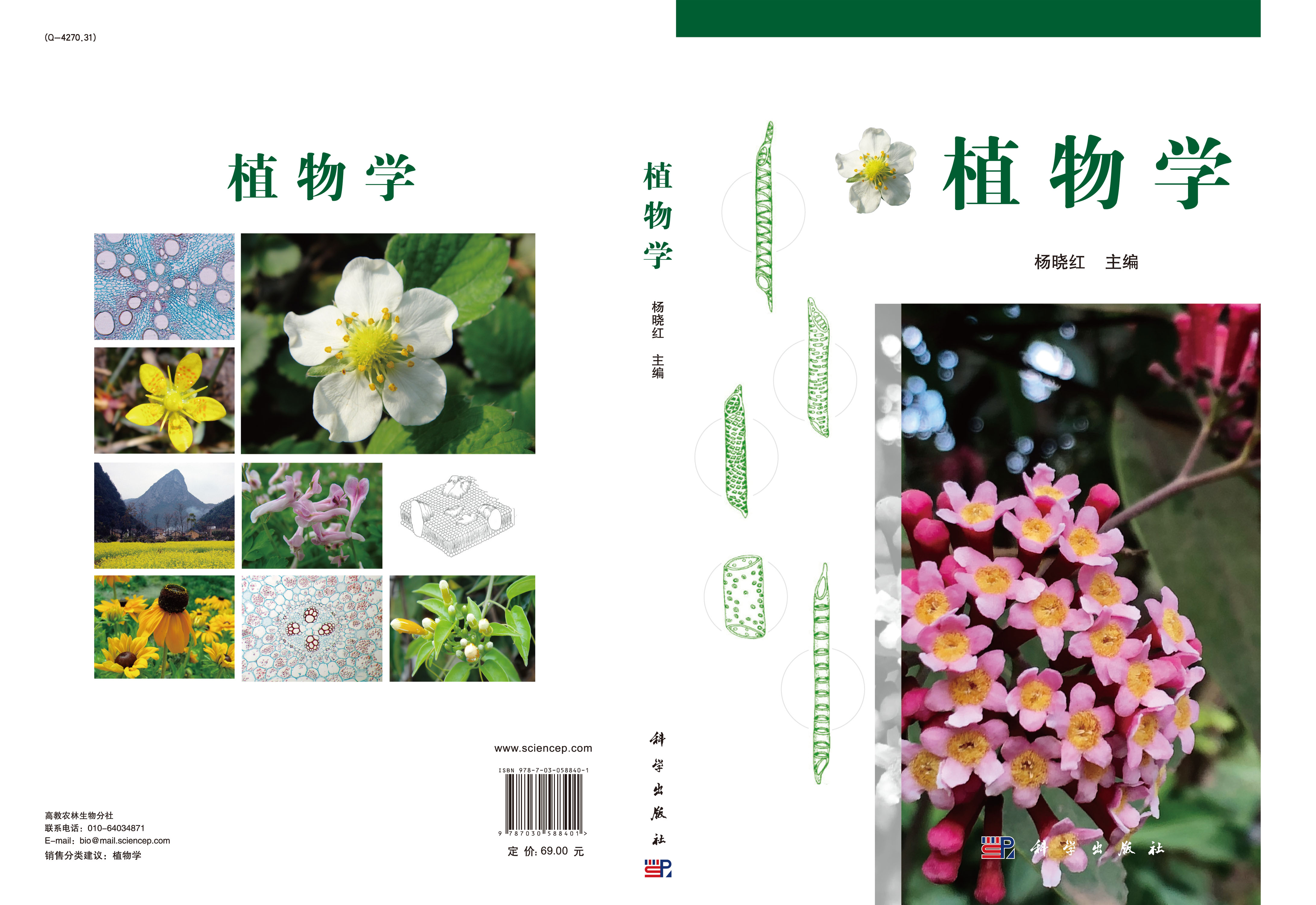 植物学