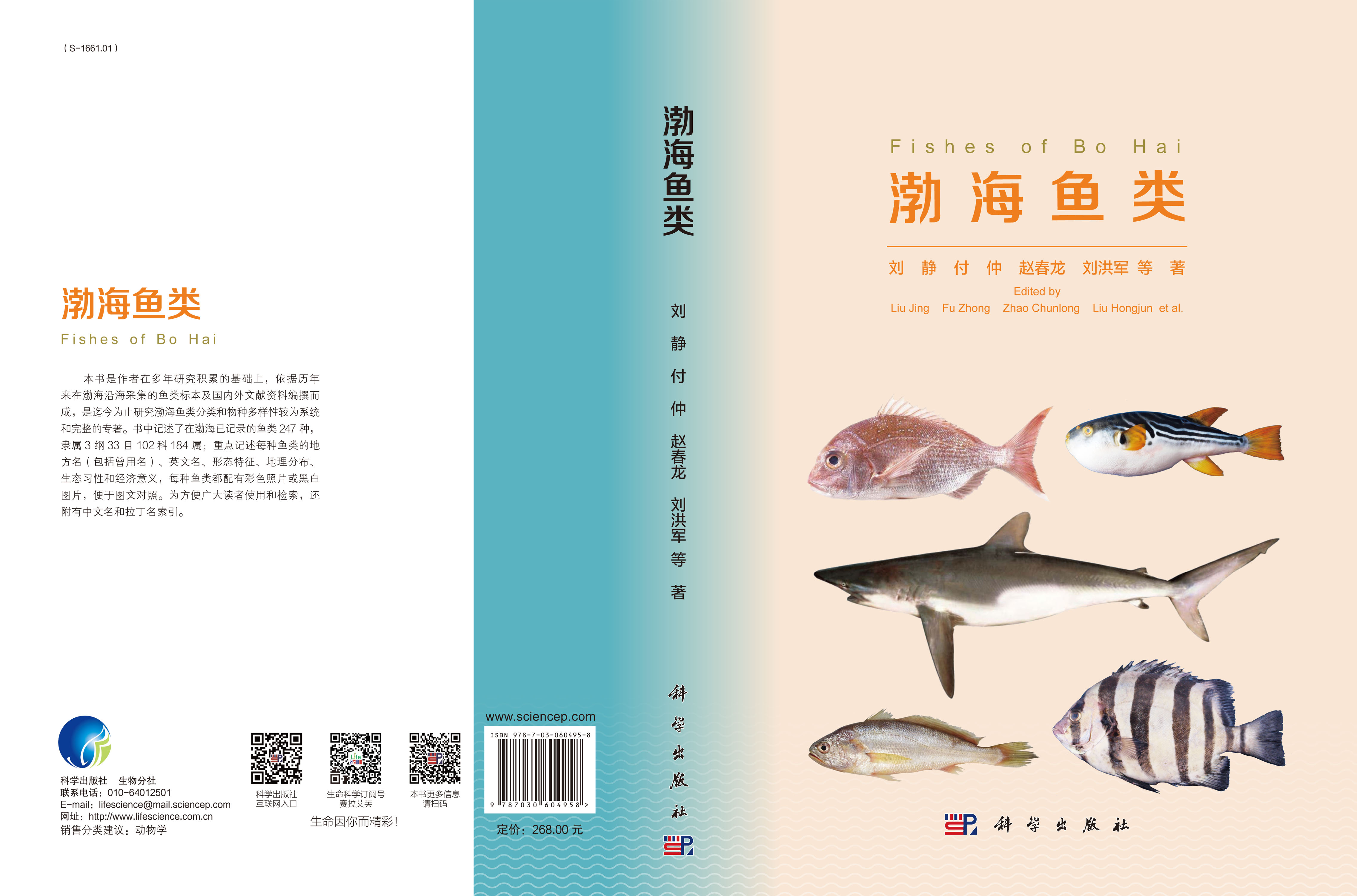 渤海鱼类