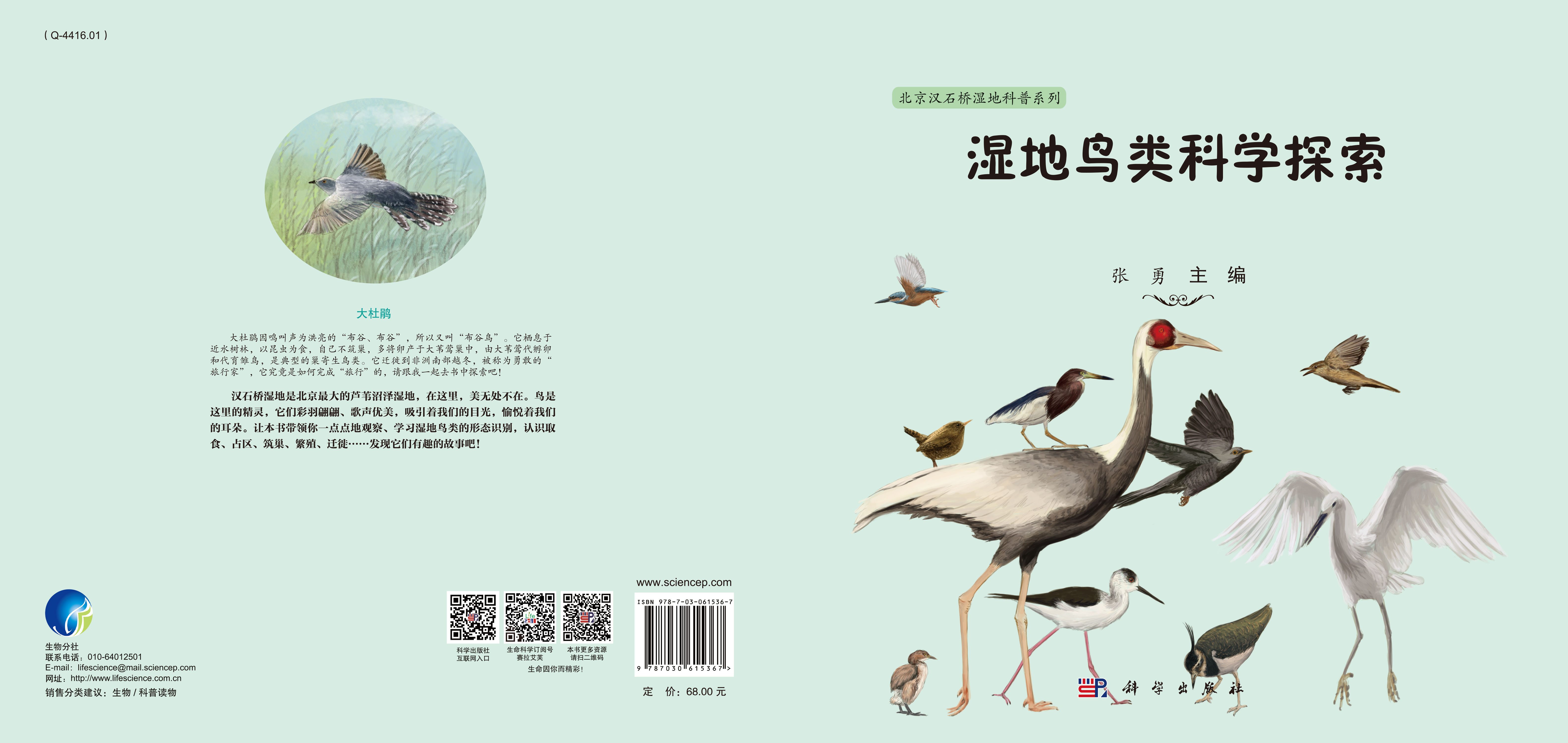 湿地鸟类科学探索