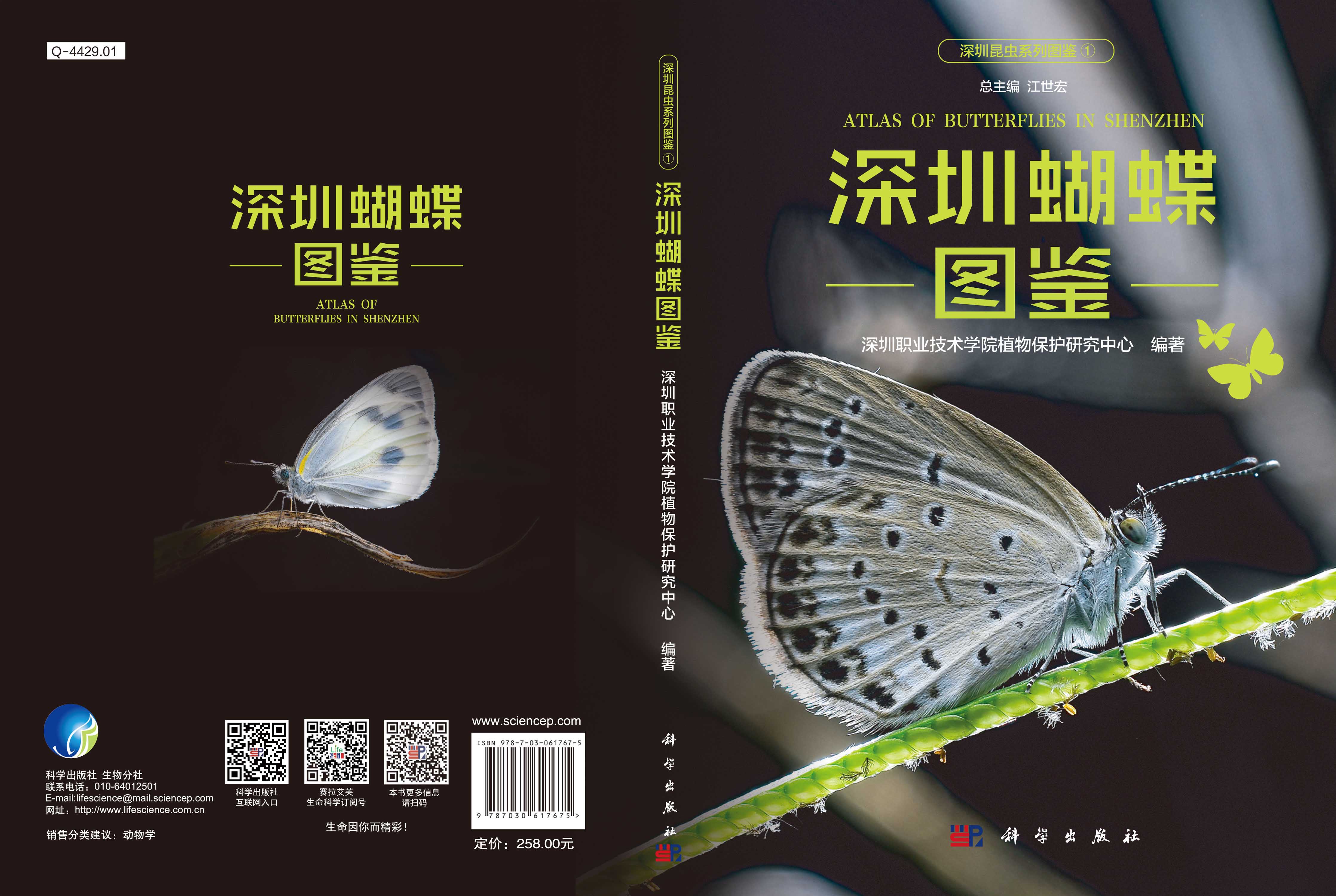 深圳蝴蝶图鉴