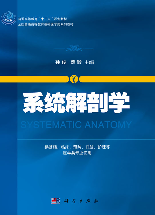 系统解剖学