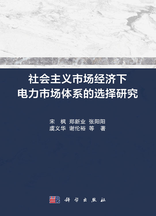 社会主义市场经济下电力市场体系的选择研究