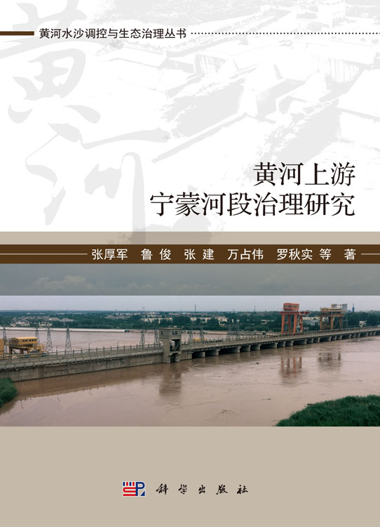 黄河上游宁蒙河段生态治理研究