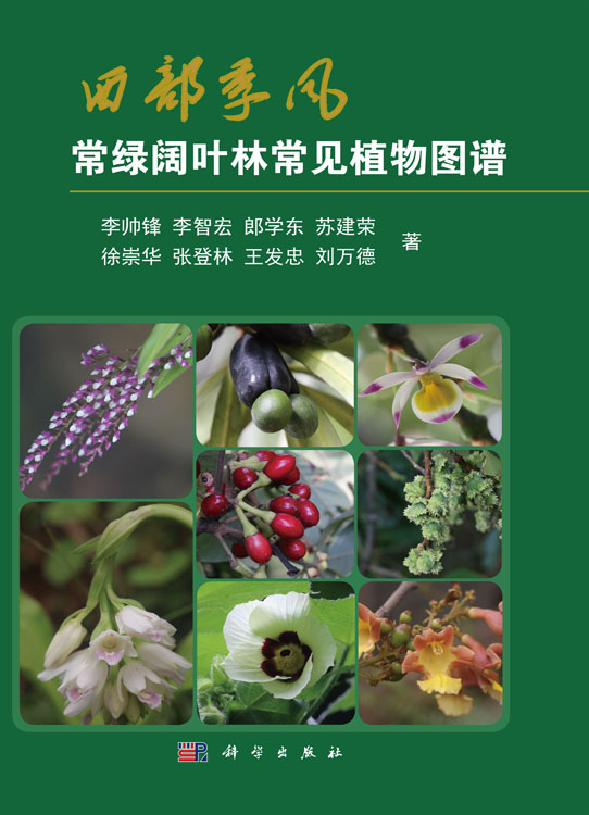 西部季风常绿阔叶林常见植物图谱