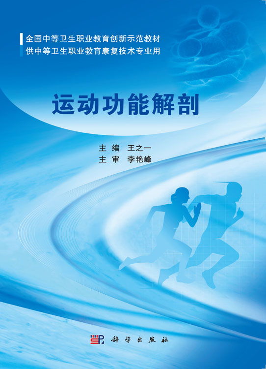运动功能解剖