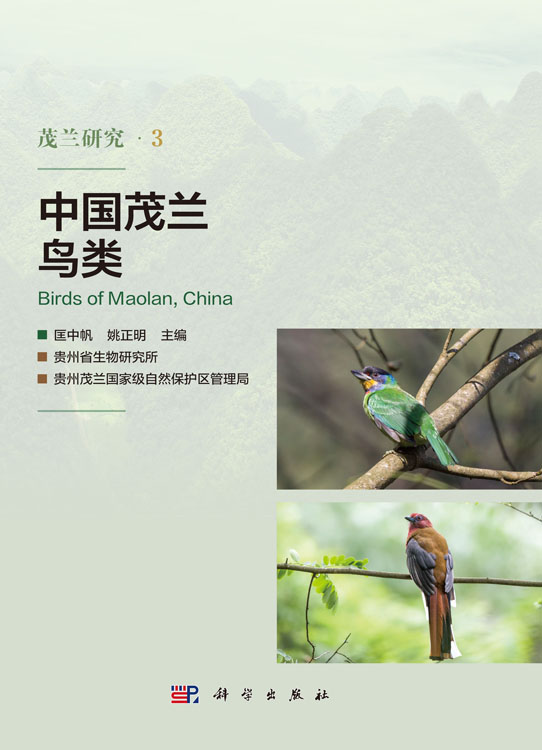 中国茂兰鸟类