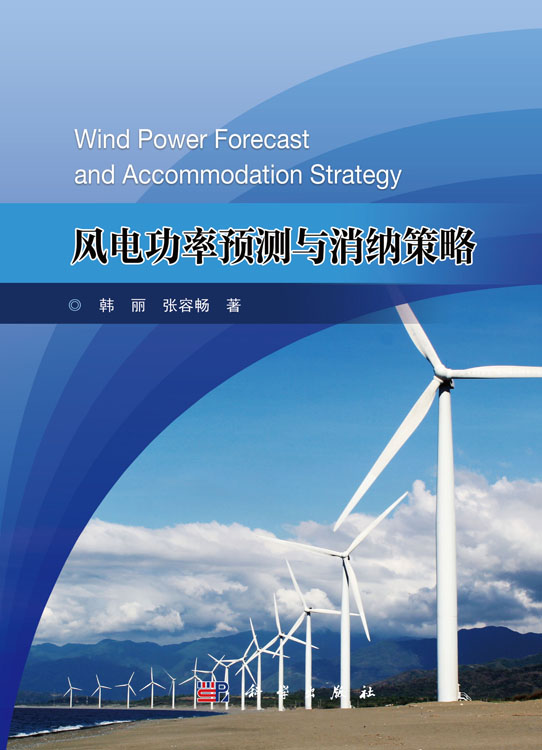 风电功率预测与消纳策略