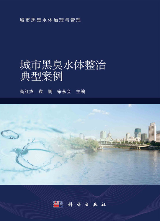 城市黑臭水体整治典型案例
