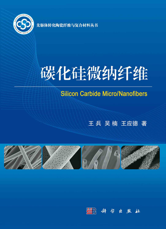 碳化硅微纳纤维