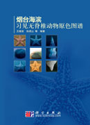 烟台海滨习见无脊椎动物原色图谱
